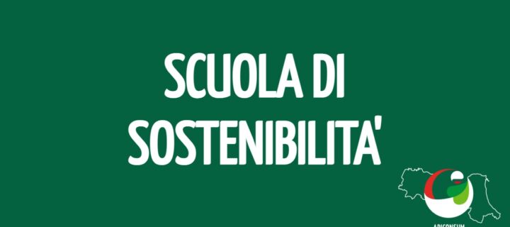 Scuola di Sostenibilità: i meme