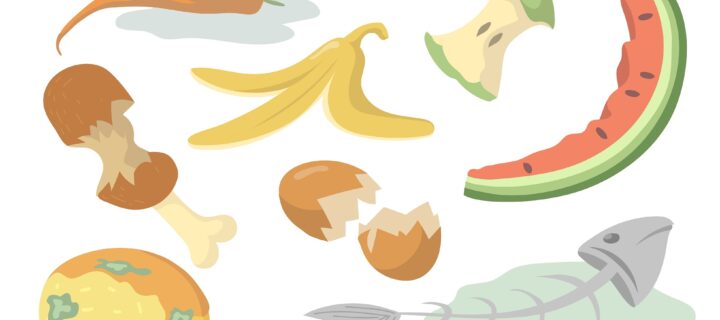 Spreco alimentare: un approfondimento